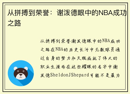 从拼搏到荣誉：谢泼德眼中的NBA成功之路